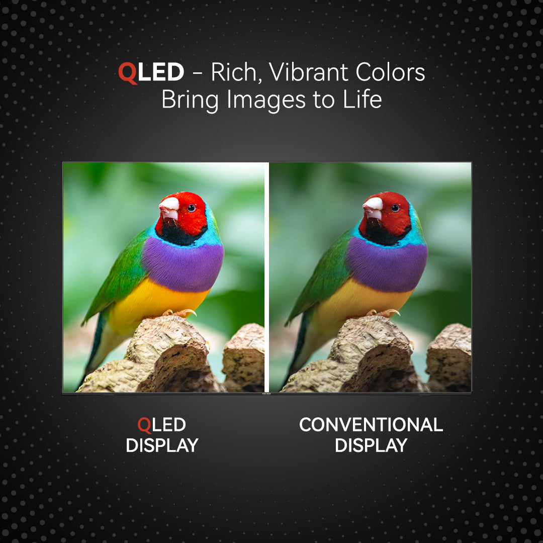 75 Inch QLED 4K Smart TV | HDR10+ | Dolby Audio | 95% Color Volume with Quantum Dot | 350 Nits Ultra Bright Display | WebOS with Apple AirPlay & Home | Air Mouse Remote | Ultra HD Smart TV